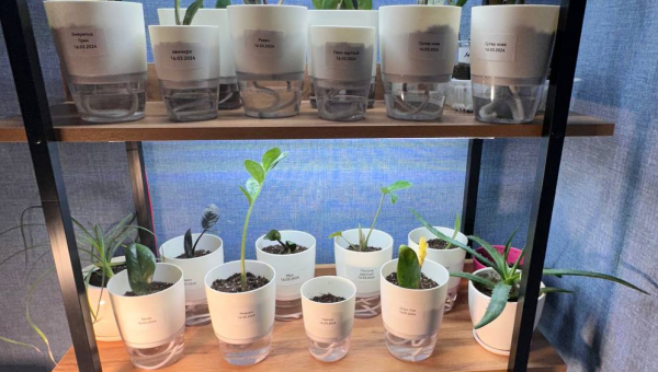 Очень хочется поделиться цветочным экспериментом